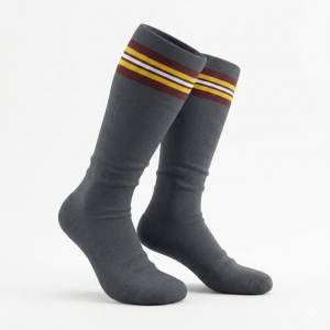 HSB Striped Socks